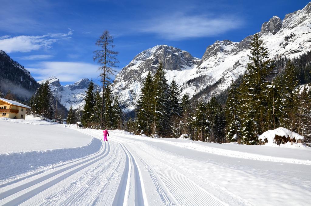 Apartments Alpenfrieden Sankt Martin am Tennengebirge Εξωτερικό φωτογραφία